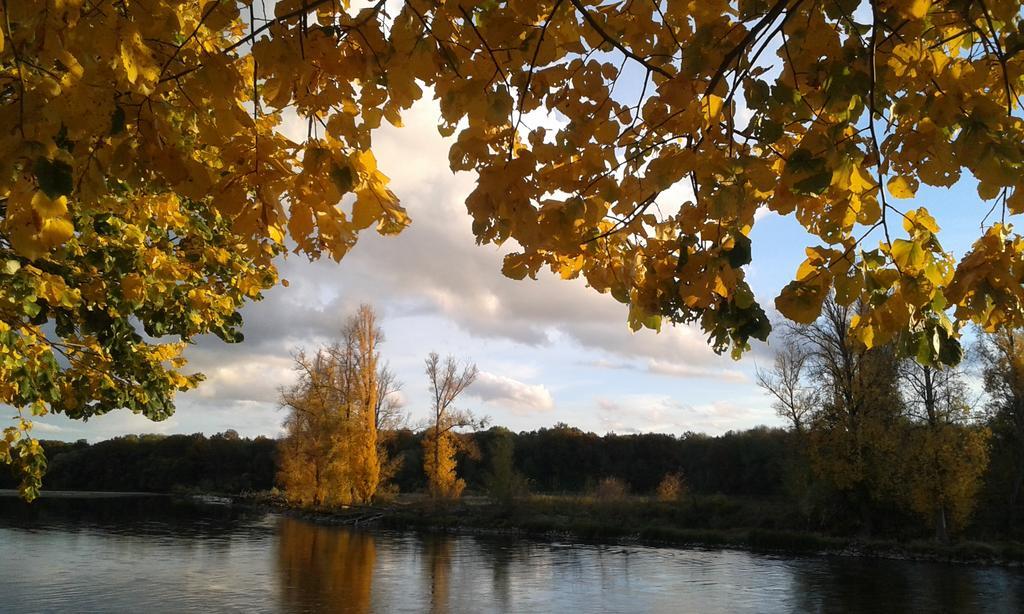 La Chaumiere Bed and Breakfast Ousson-sur-Loire Εξωτερικό φωτογραφία