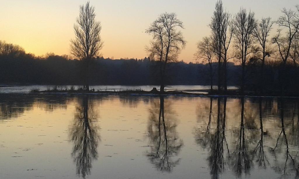 La Chaumiere Bed and Breakfast Ousson-sur-Loire Εξωτερικό φωτογραφία