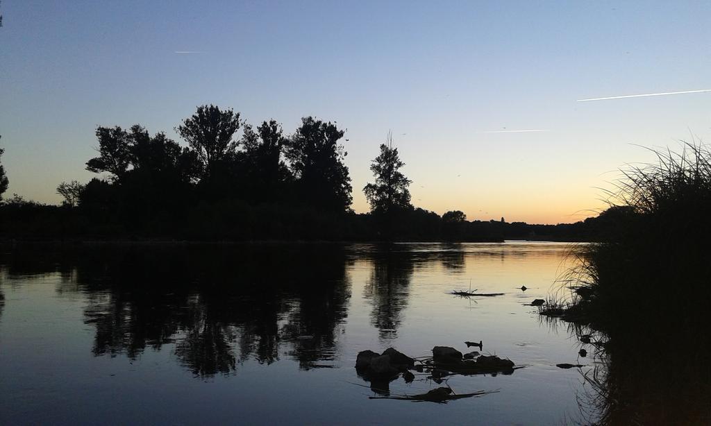 La Chaumiere Bed and Breakfast Ousson-sur-Loire Εξωτερικό φωτογραφία