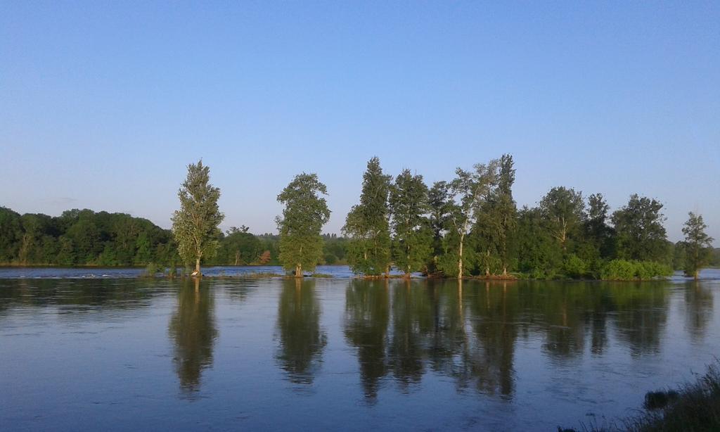 La Chaumiere Bed and Breakfast Ousson-sur-Loire Εξωτερικό φωτογραφία