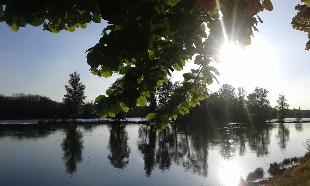 La Chaumiere Bed and Breakfast Ousson-sur-Loire Εξωτερικό φωτογραφία