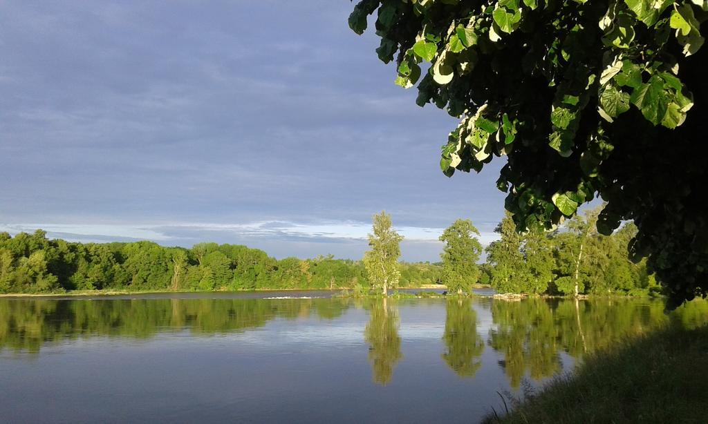La Chaumiere Bed and Breakfast Ousson-sur-Loire Εξωτερικό φωτογραφία